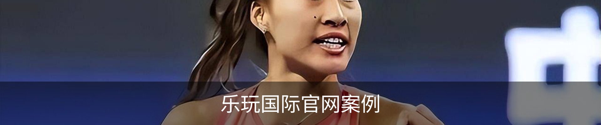 乐玩国际官网案例