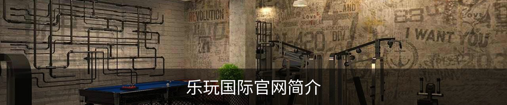 乐玩国际官网简介
